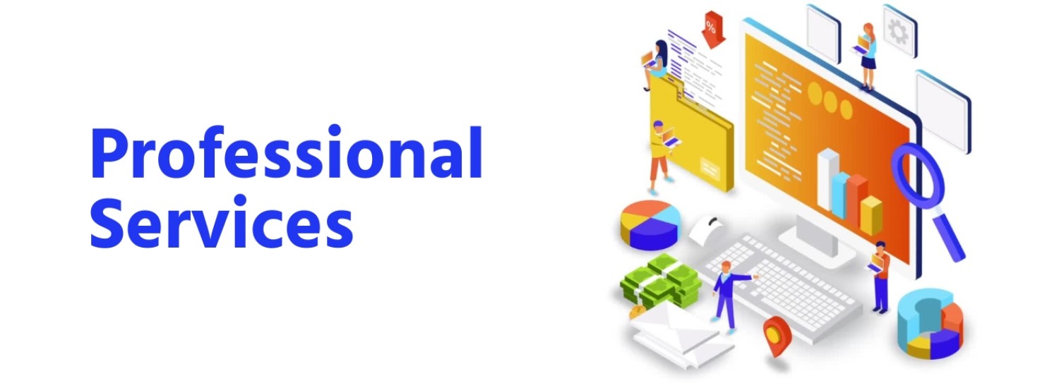 Professional Services