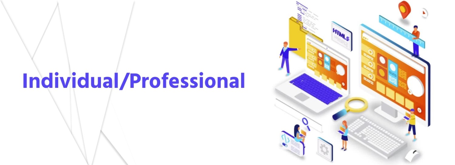 Individual/Professional