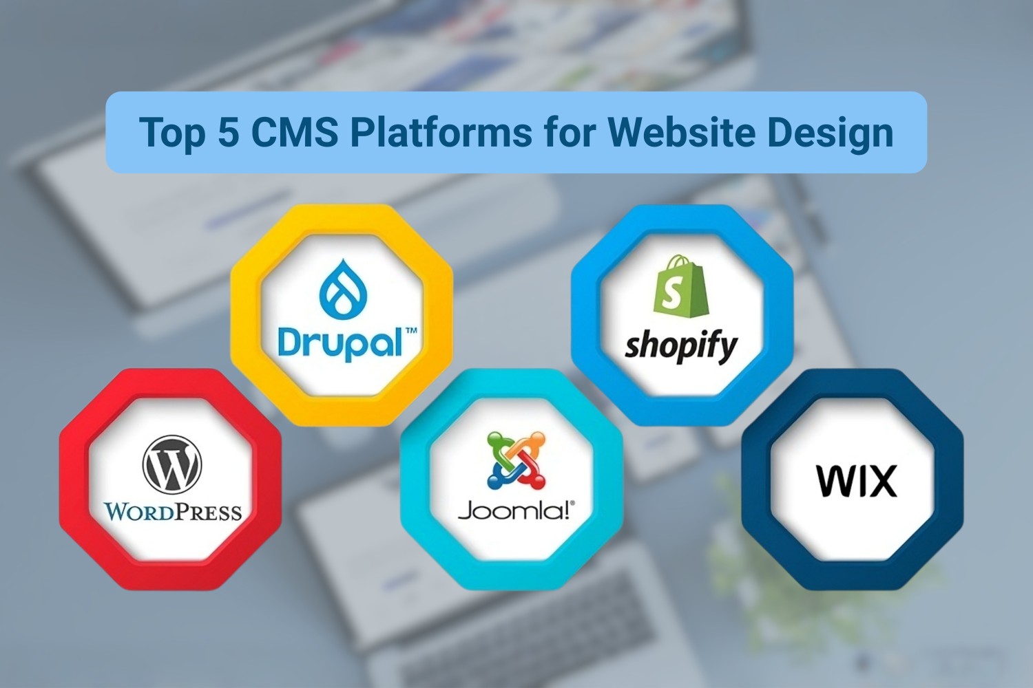 Modern Website Design in Bangladesh
